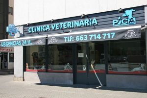 clínica veterinaria Sevilla