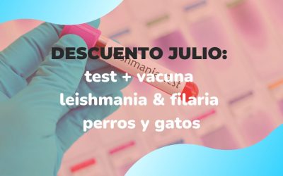 DESCUENTO JULIO Y AGOSTO: test + vacuna leishmania & filaria perros