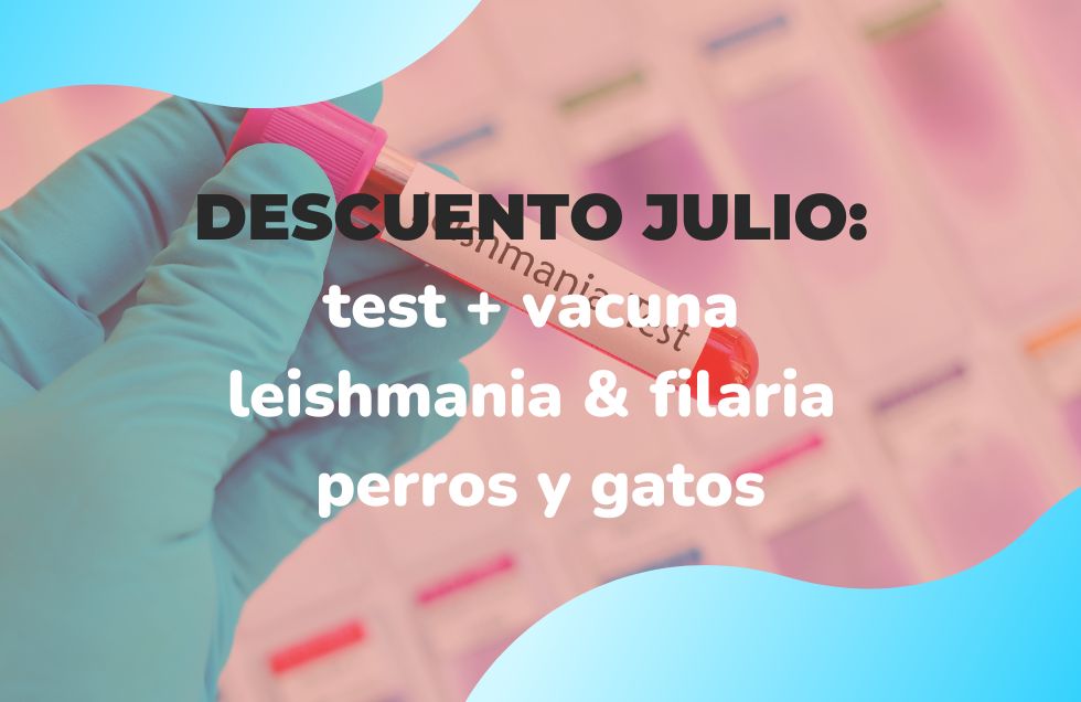 DESCUENTO JULIO Y AGOSTO: test + vacuna leishmania & filaria perros