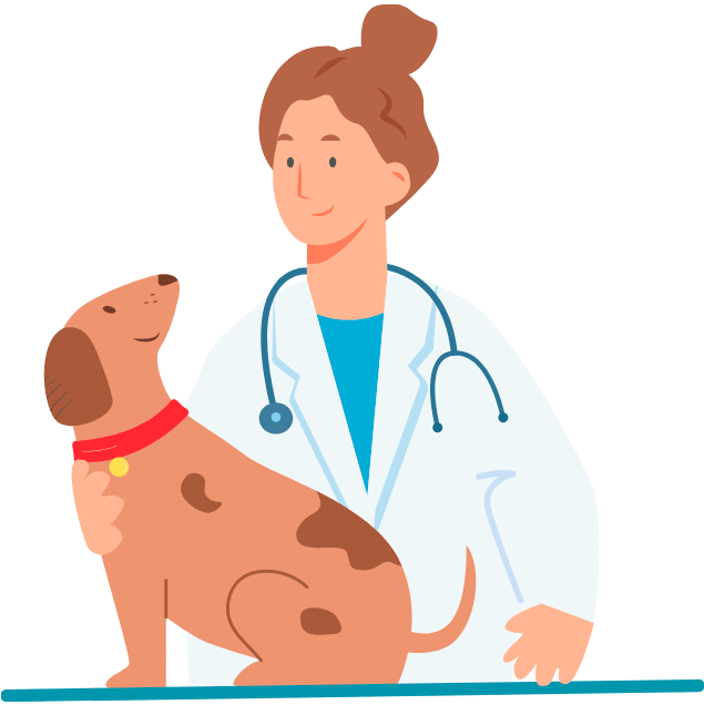 diagnostico tratamiento leishmaniosis perros veterinario sevilla veterinario pino montano