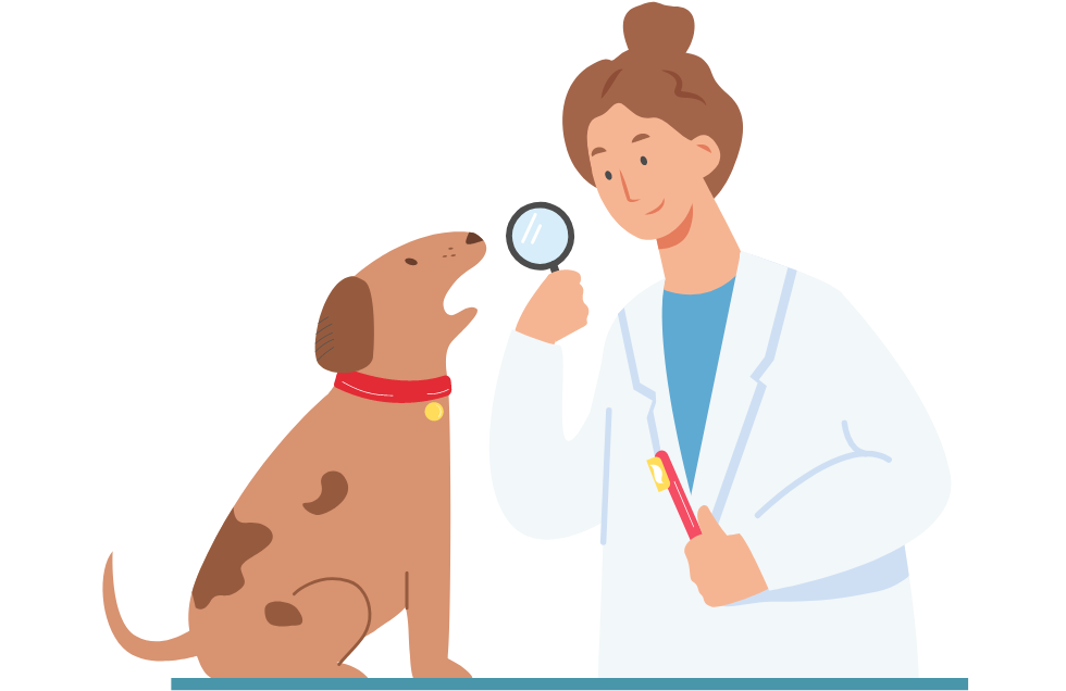 diagnostico tratamiento filariasis perros veterinario sevilla